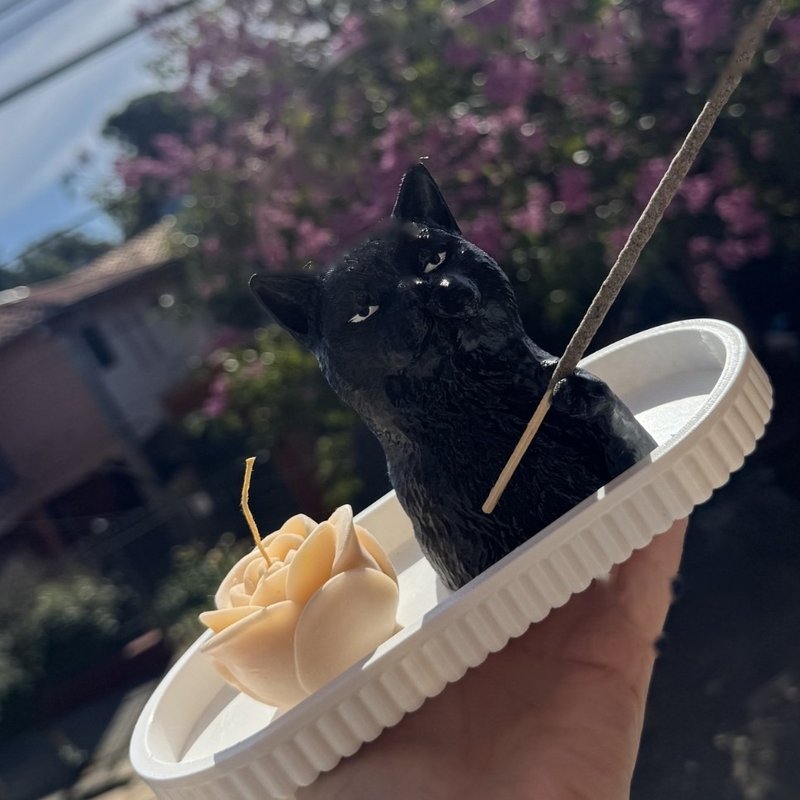 Set gato con vela